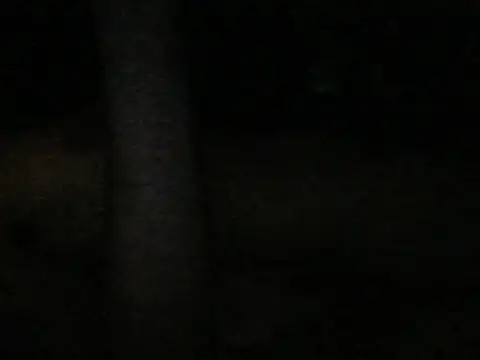 Amalgh6 online show from October 2025 06:04:01 PM