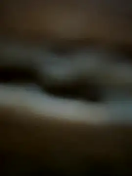 buodiculo online show from October 2025 07:29:01 AM