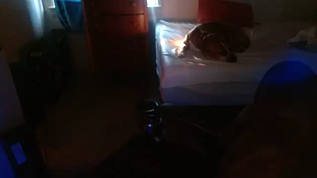 DADDY KANE8--- online show from January 2026 09:29:01 PM