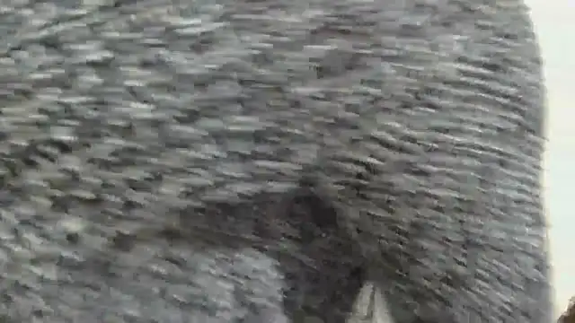 sluttylaura21 online show from December 2025 11:48:02 PM