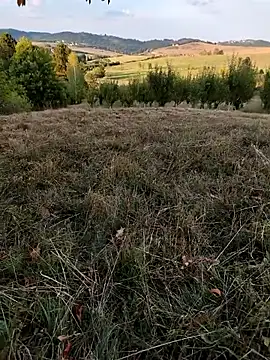 Snapshot of Nishu12356g chatting on September 2025 04:06:02 PM Nishu12356g online show from September 2025 04:06:02 PM