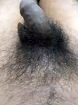 Snapshot of Nishu12356g chatting on December 2024 10:38:02 PM Nishu12356g online show from December 2024 10:38:02 PM