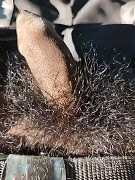 Snapshot of Nishu12356g chatting on September 2025 02:33:02 PM Nishu12356g online show from September 2025 02:33:02 PM