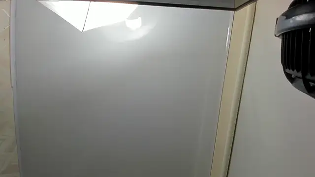 Snapshot of veronica_salas chatting on March 2025 12:11:02 PM veronica salas online show from March 2025 12:11:02 PM