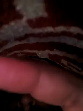 Snapshot of rajstrip12650 chatting on March 2025 12:45:01 AM rajstrip12650 online show from March 2025 12:45:01 AM