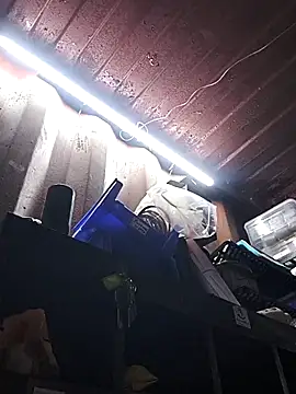 Snapshot of rajstrip12650 chatting on December 2025 09:25:01 AM rajstrip12650 online show from December 2025 09:25:01 AM