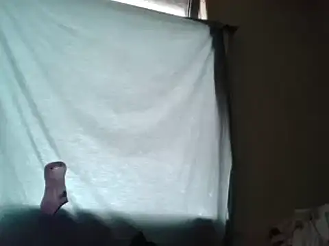 Snapshot of ACABFTP chatting on March 2025 03:54:01 PM ACABFTP online show from March 2025 03:54:01 PM