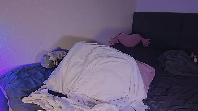 shey1i online show from February 2026 06:19:02 PM