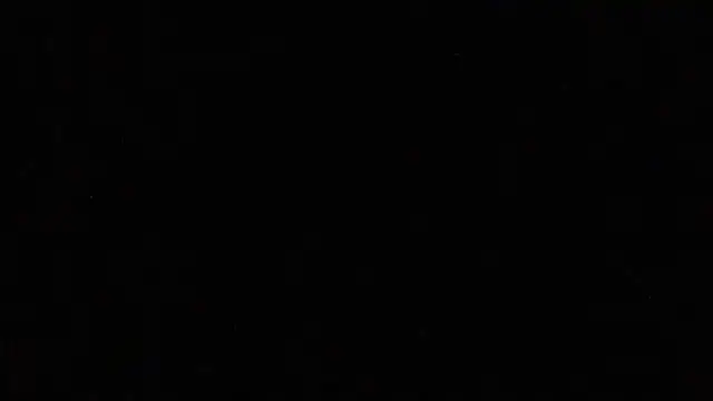 Pup Rush online show from September 2025 03:39:02 AM