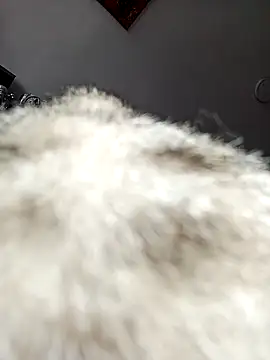 Sin love online show from March 2026 06:13:01 PM