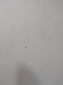 Snapshot of Rafaelayamazaki chatting on December 2025 12:09:02 PM Rafaelayamazaki online show from December 2025 12:09:02 PM