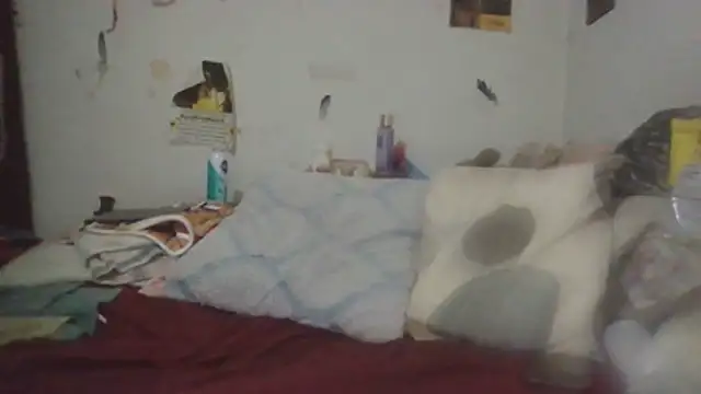 paradisejas online show from July 2026 11:39:01 AM