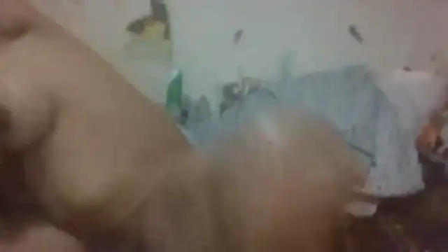 paradisejas online show from March 2026 02:54:01 PM