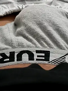 Snapshot of felix_dion chatting on October 2025 07:24:02 PM felix dion online show from October 2025 07:24:02 PM