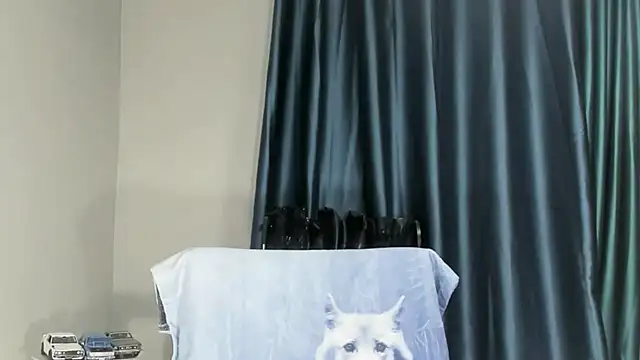 Snapshot of IndianBibix chatting on September 2025 02:02:02 PM IndianBibix online show from September 2025 02:02:02 PM