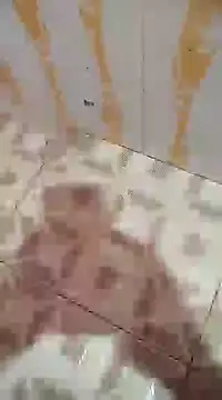 Sanjaymartin29 online show from December 2024 03:42:02 AM