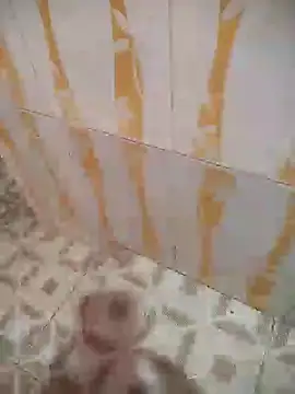 Sanjaymartin29 online show from January 2025 02:49:02 AM