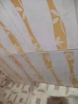 Sanjaymartin29 online show from January 2025 02:07:02 AM