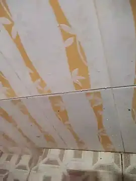 Sanjaymartin29 online show from February 2025 03:37:02 AM