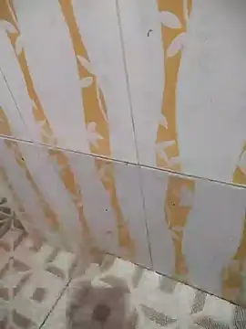 Sanjaymartin29 online show from December 2024 04:48:02 AM