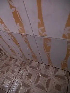 Sanjaymartin29 online show from January 2025 03:07:02 AM