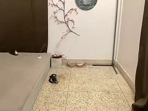 shanayaaa 1 online show from March 2026 02:04:02 AM