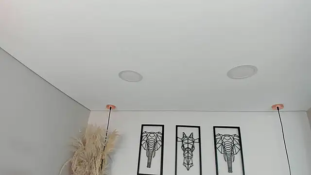 Rebeca jones online show from November 2025 12:09:01 PM