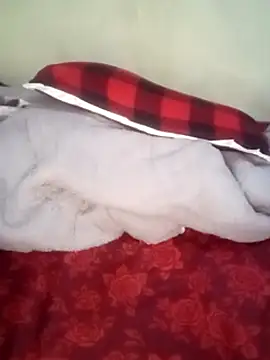 Snapshot of 1_jan chatting on March 2025 05:29:02 AM 1 jan online show from March 2025 05:29:02 AM