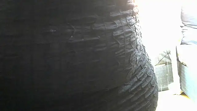 AddictiveAssCurves online show from March 2025 07:16:02 AM