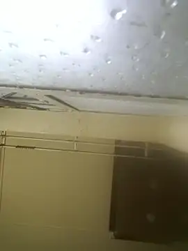 AddictiveAssCurves online show from March 2026 07:27:01 AM