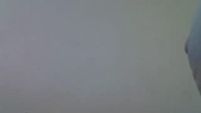 AddictiveAssCurves online show from March 2026 08:39:02 AM