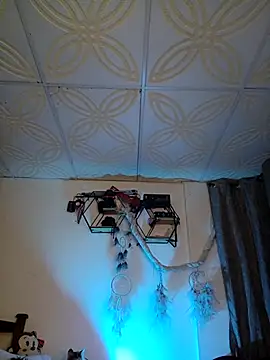 Piafisher1 online show from October 2025 01:18:01 AM