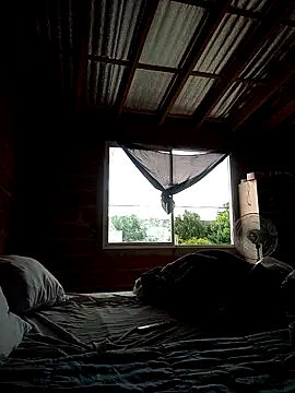 maruli online show from March 2026 07:42:01 PM