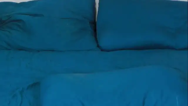 Snapshot of sinthiaroze chatting on December 2024 04:47:02 PM sinthiaroze online show from December 2024 04:47:02 PM