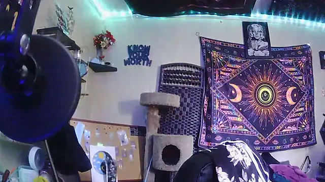 spunlikecottoncandy online show from March 2026 08:00:02 PM