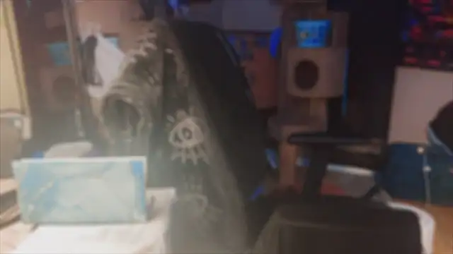 spunlikecottoncandy online show from November 2025 10:52:02 AM