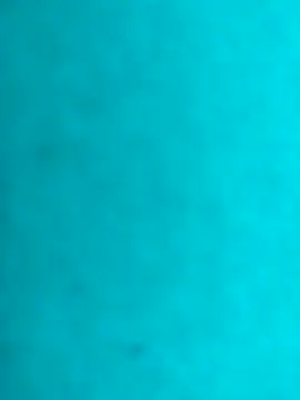 JRock69nKzoo online show from February 2026 12:29:02 PM