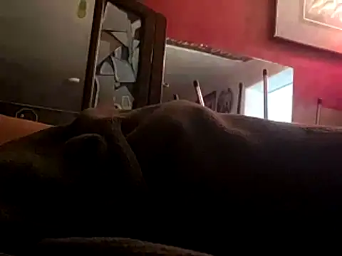 JRock69nKzoo online show from November 2025 11:58:02 AM