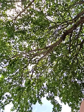 SkyelarSommer online show from April 2026 07:07:02 PM