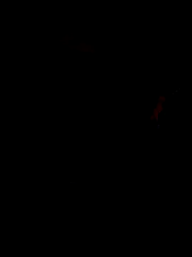 DominiqueX0 online show from November 2025 01:43:02 AM