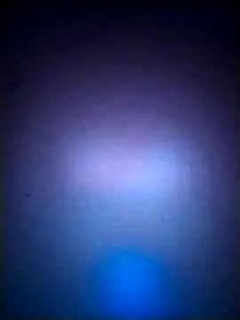 LissaThompsom online show from September 2025 02:55:01 PM