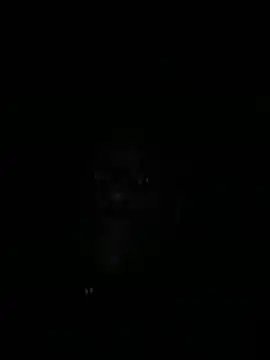 Snapshot of Annonymous607 chatting on November 2025 08:07:02 AM Annonymous607 online show from November 2025 08:07:02 AM