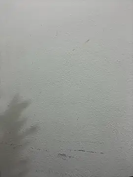 croftsmila online show from December 2025 11:29:02 PM