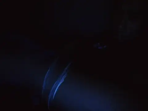 Snapshot of Dillon455669 chatting on October 2025 10:27:01 PM Dillon455669 online show from October 2025 10:27:01 PM