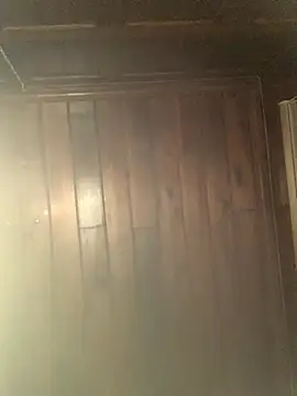 Mesonic Empire online show from December 2025 05:07:02 AM