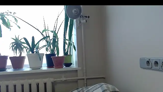 Sophi Cute online show from February 2025 01:44:02 PM
