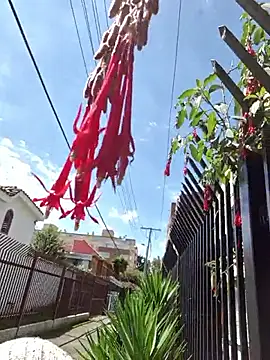 Sam Sara online show from January 2026 06:15:02 PM