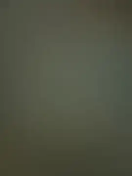 Sam Sara online show from February 2026 07:00:02 PM