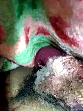 Village1997 online show from November 2025 06:45:01 PM