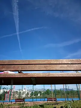 bellapaty online show from April 2026 08:50:01 AM